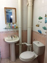 Blk 114 Depot Heights (Bukit Merah), HDB 5 Rooms #400314671